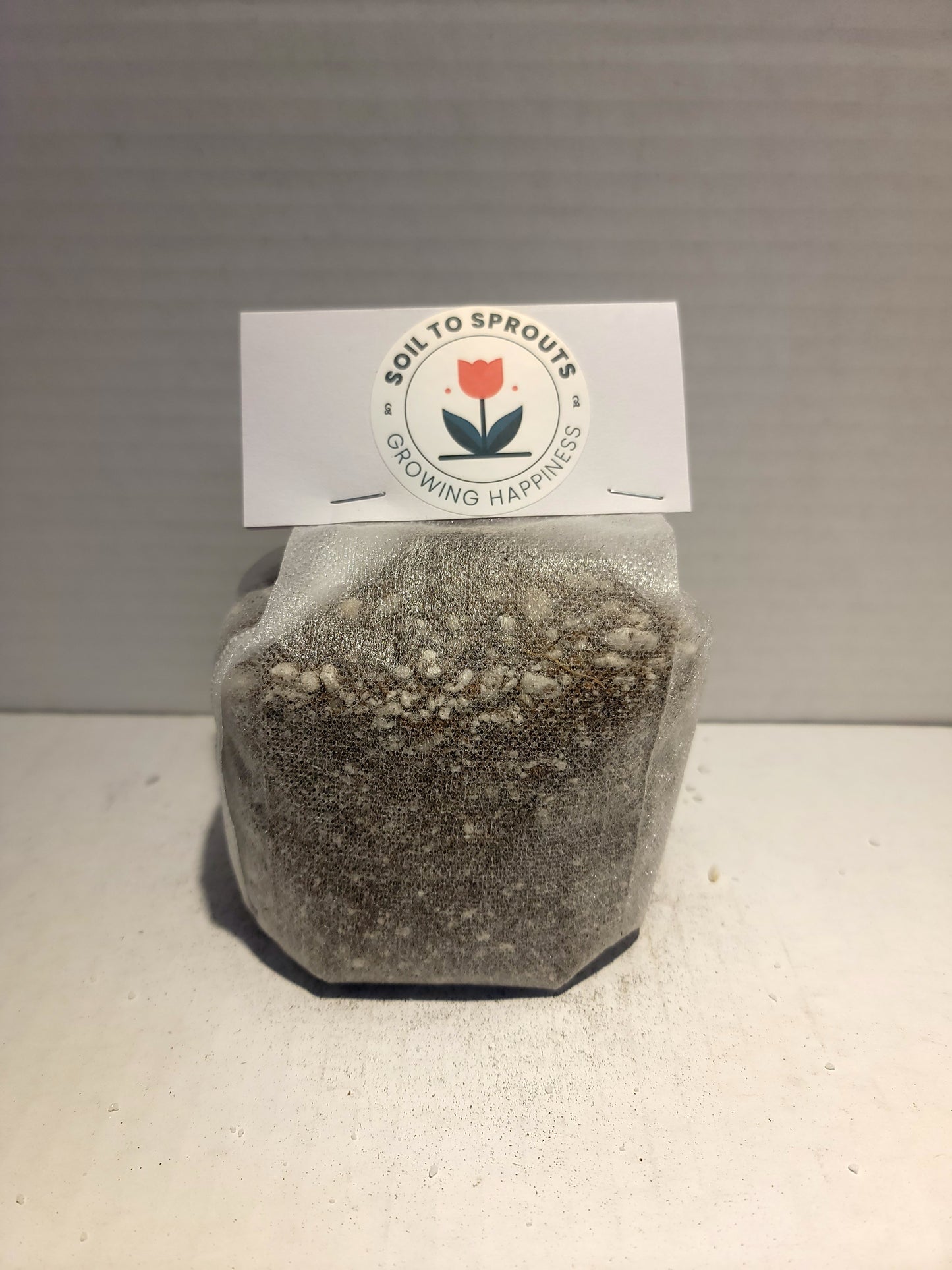 Premium Seedling Mix