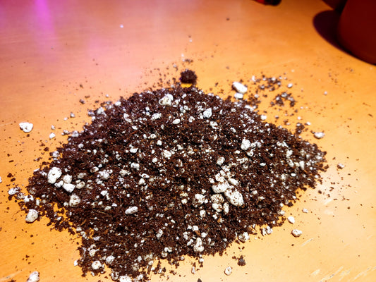 Seed Starting Mix